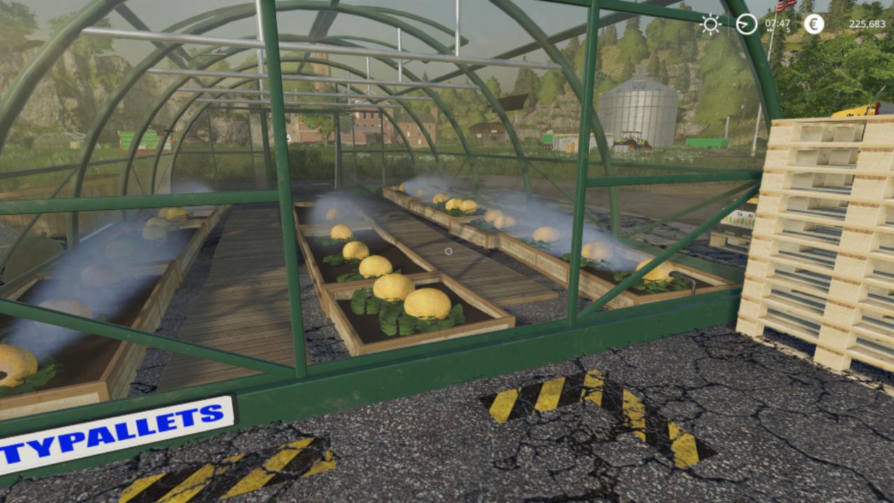 Melon greenhouse