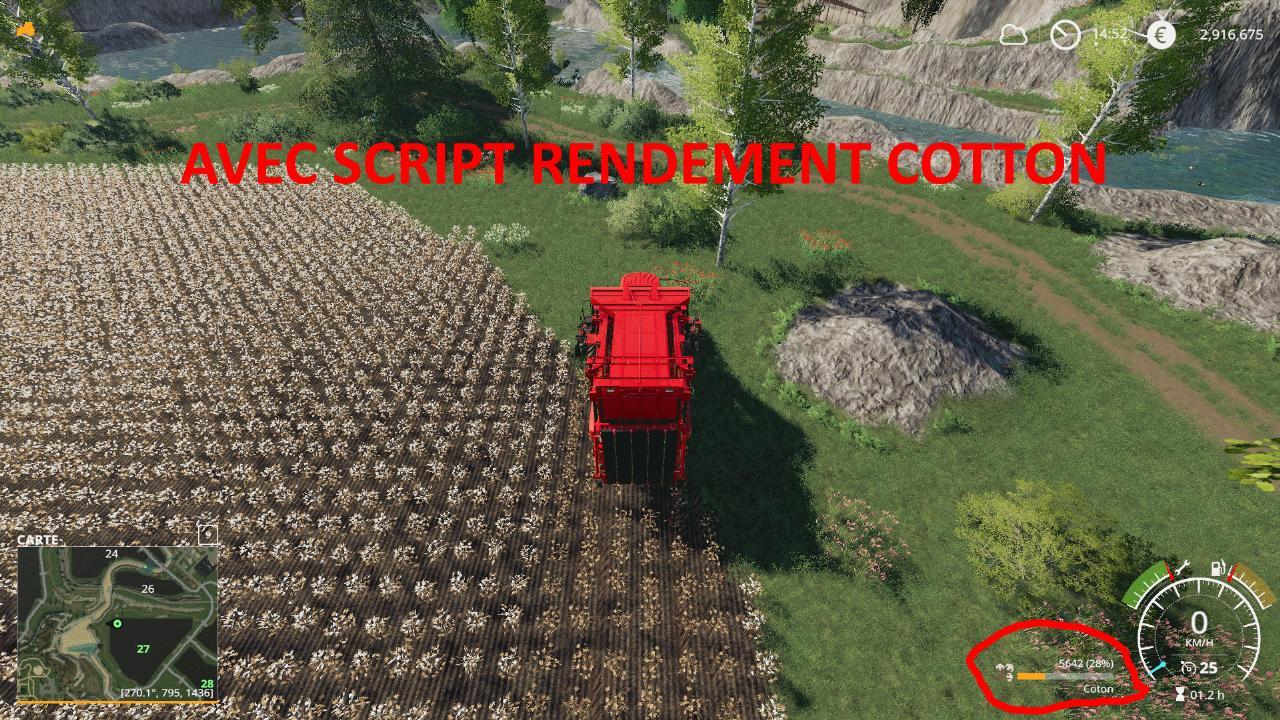 RENDEMENT COTTON