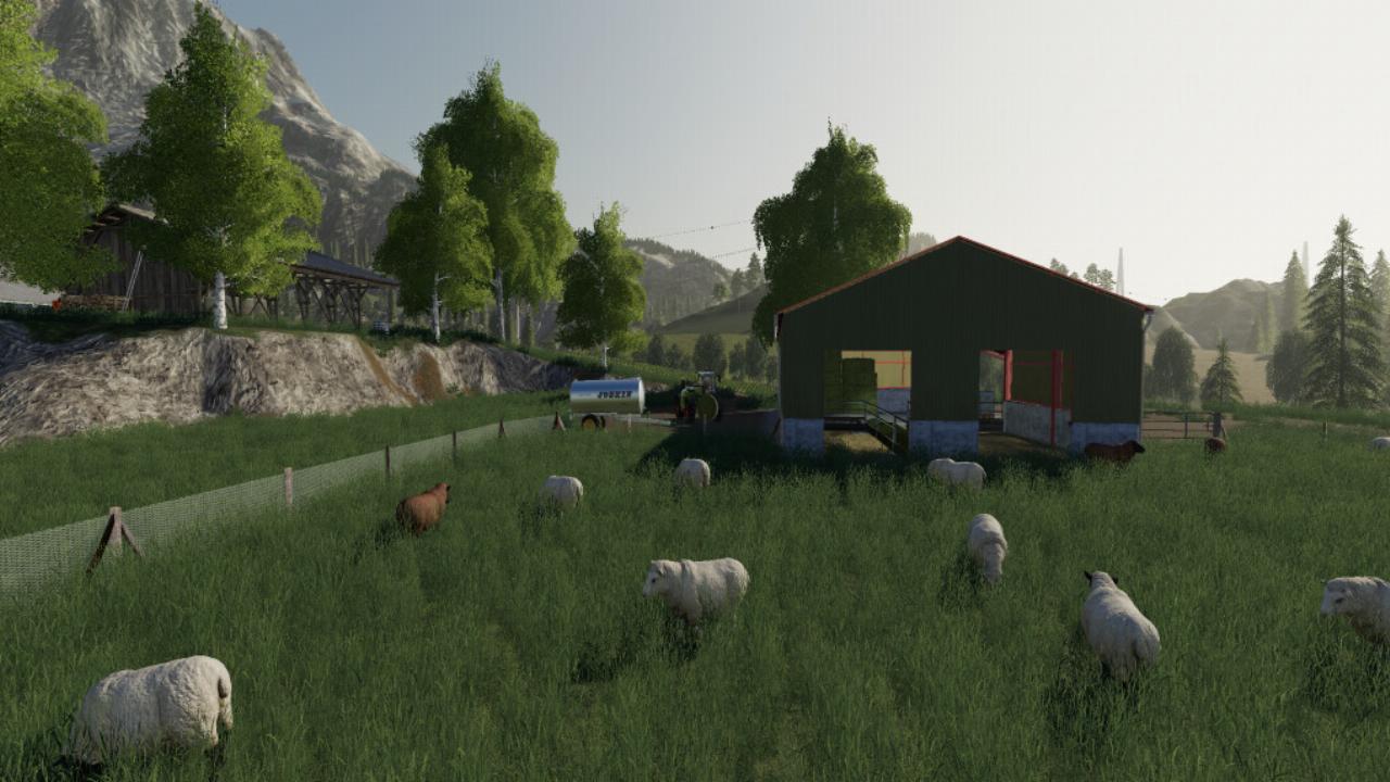Sheep Pasture