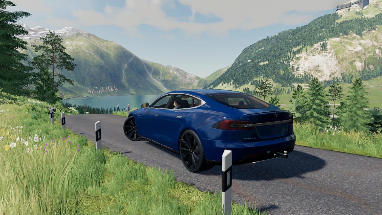 TESLA MODEL S NO DLC ALPINE