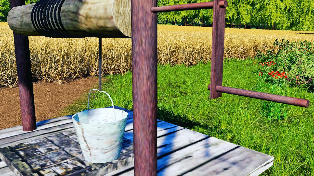 Village Well