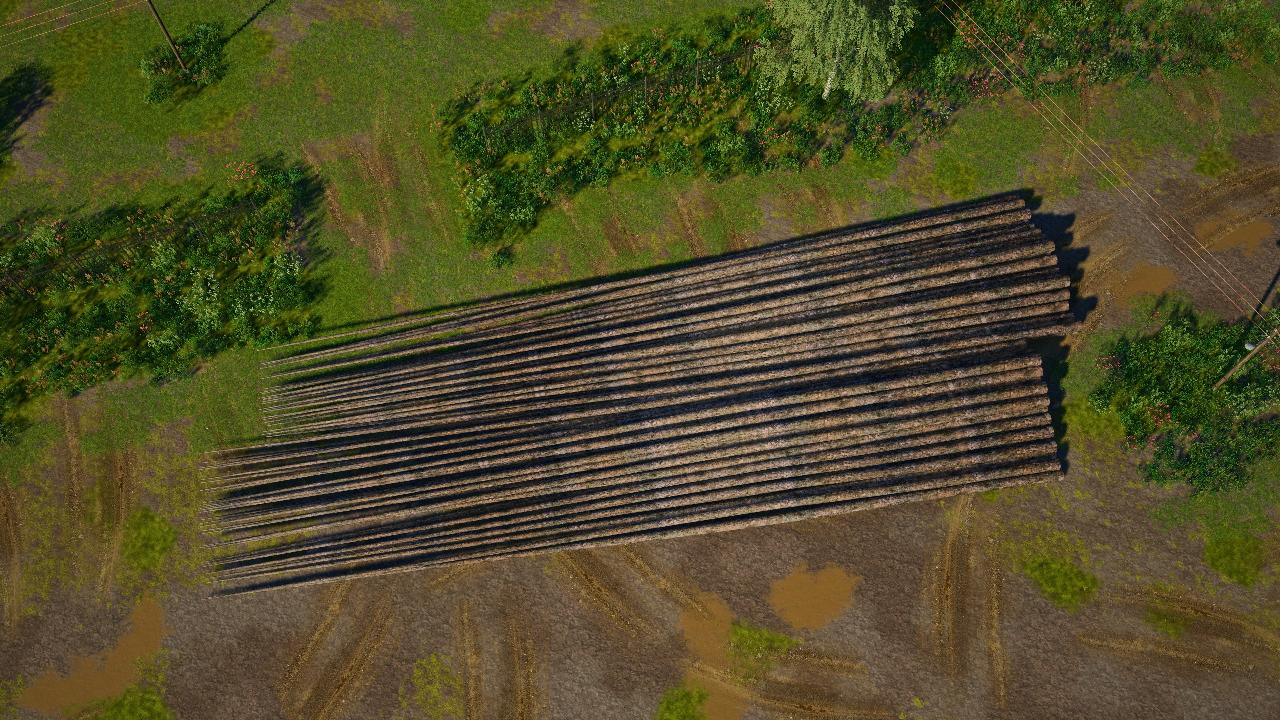 Arbres entier coupés