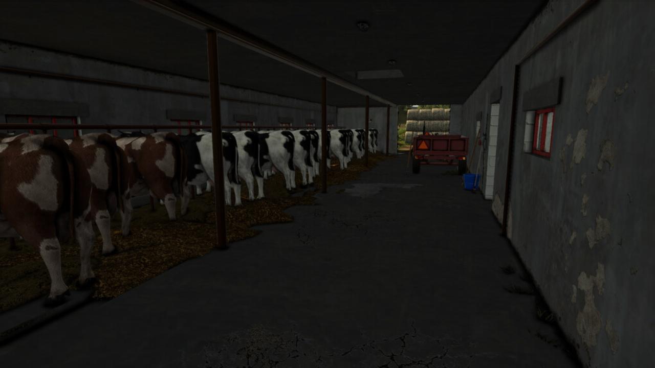 Bâtiment de ferme avec vaches