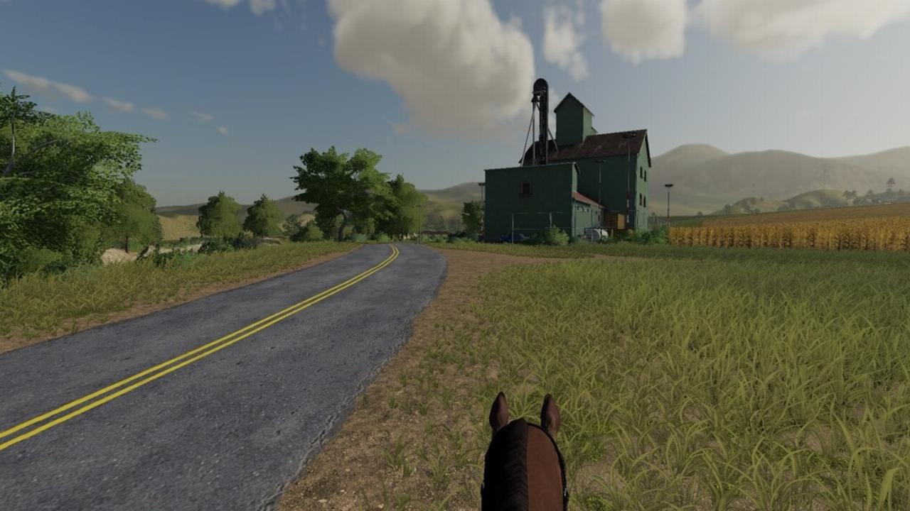 First Person Horse Riding Camera