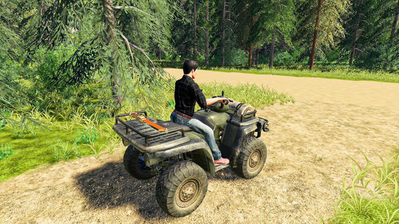 Lizard Quad Bike V1.1