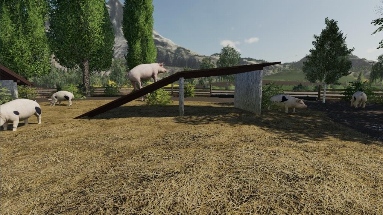 Pig Enclosure Nature