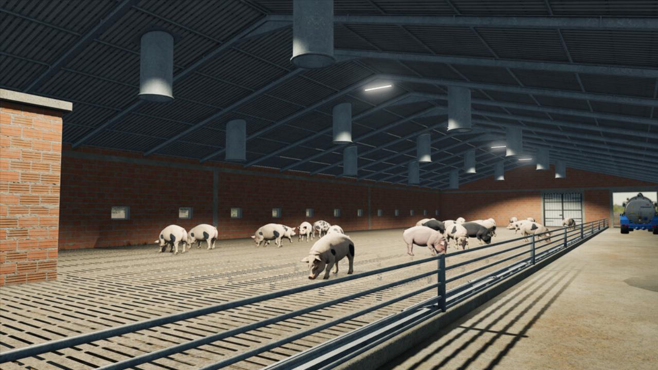 Schweinestall