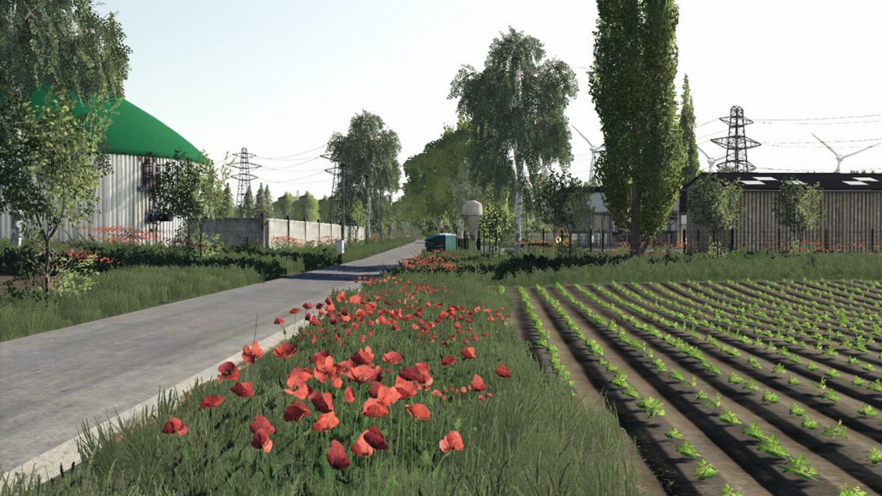 Les Plaines Du Coquelicot