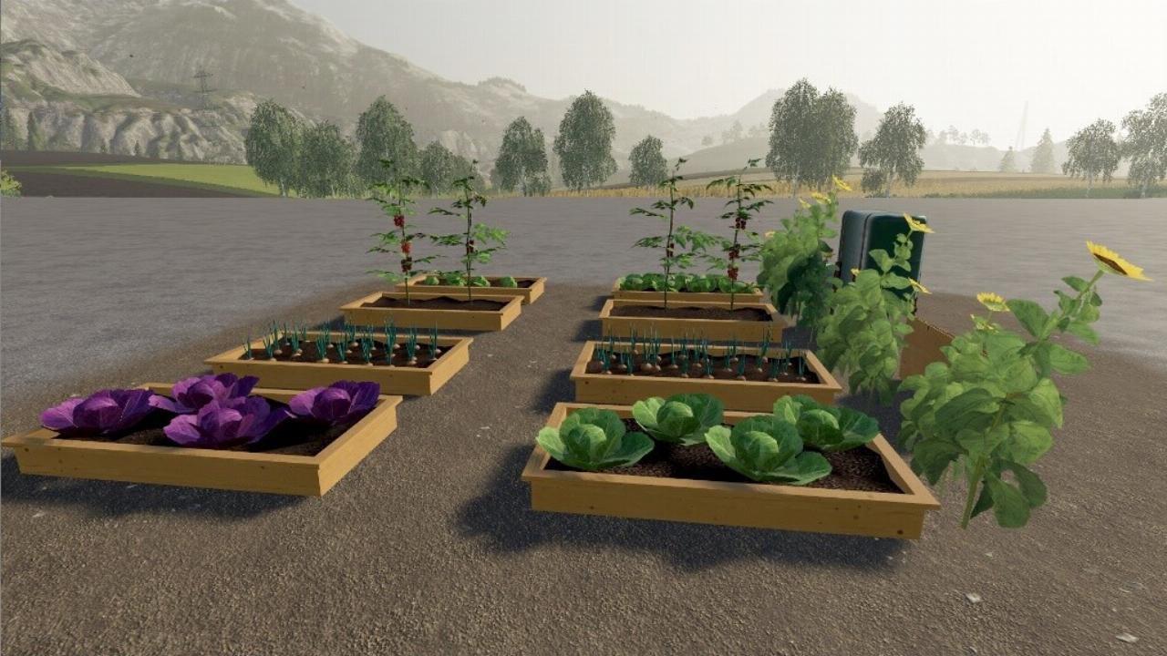 Vegetable Garden