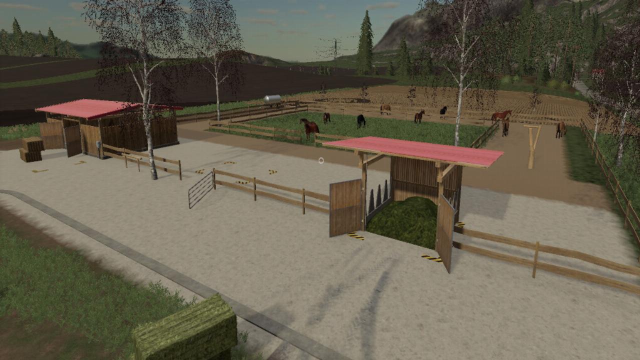 Active Horse Stable