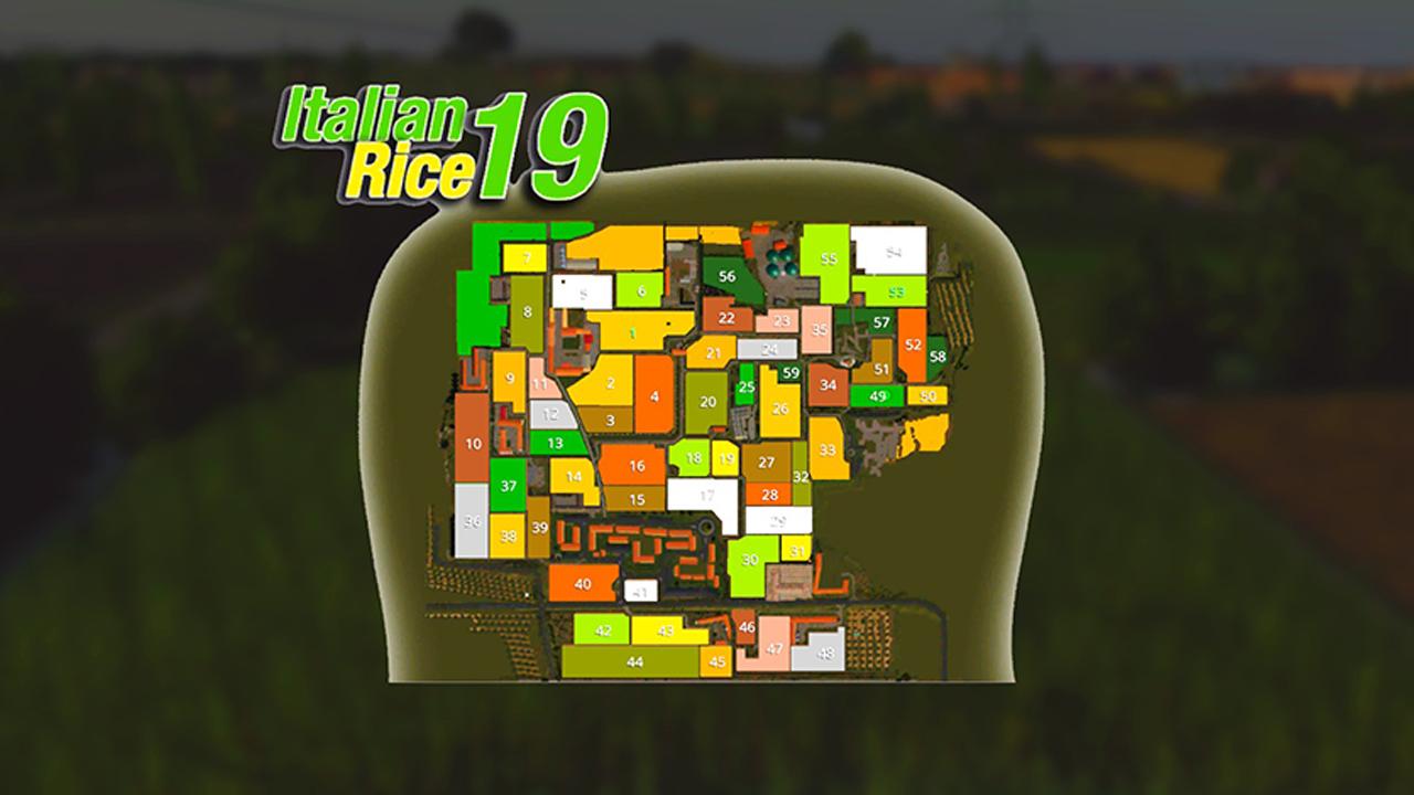 Italian RICE V3