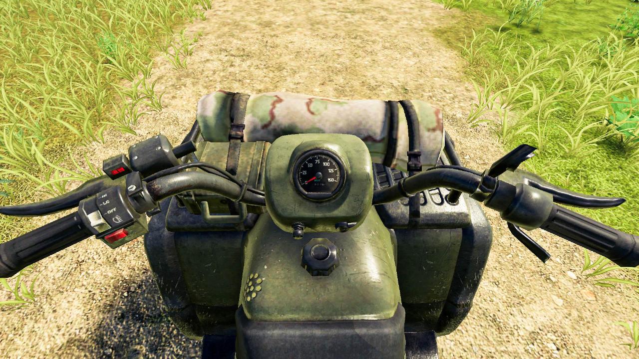 Lizard Quad Bike V1.1