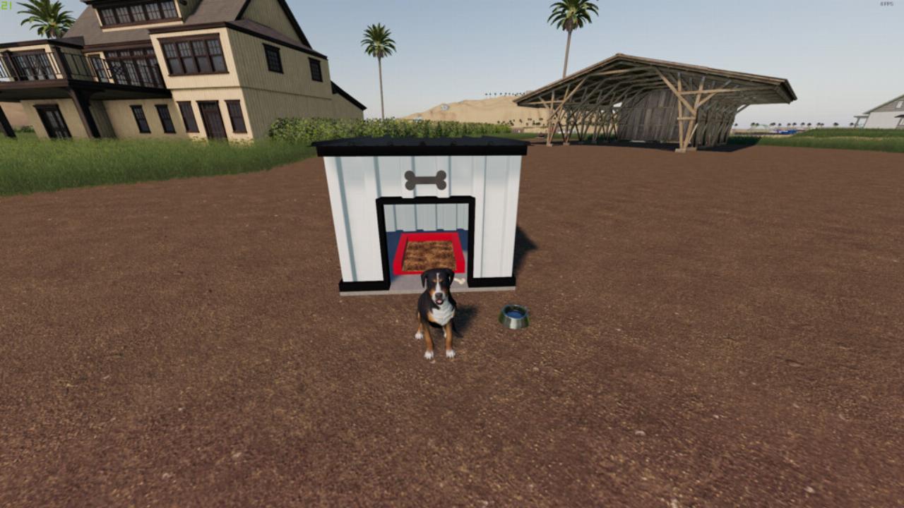 Modern Dog House Pack