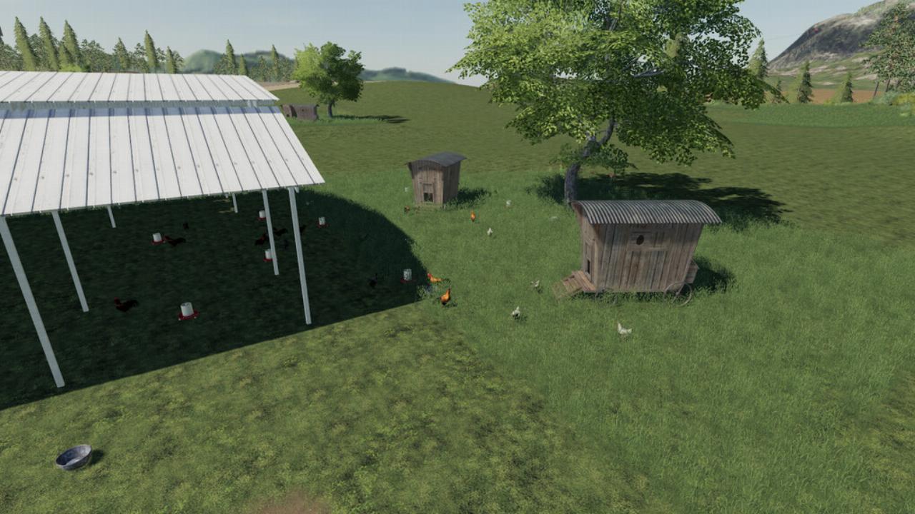 Open Chickencoop