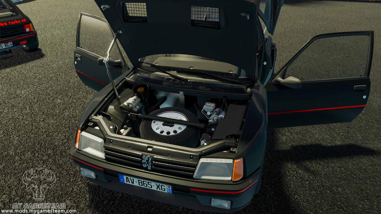 Peugeot 205 Turbo 1984