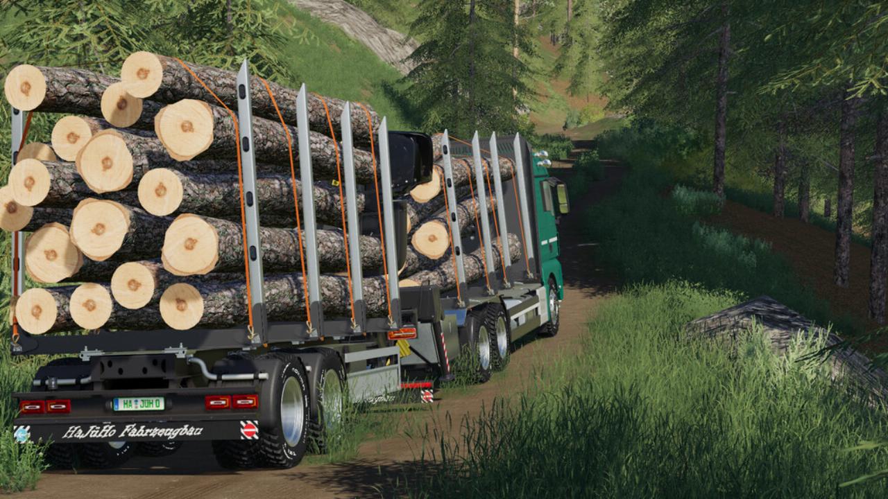 MAN TGX Spécial Forêt