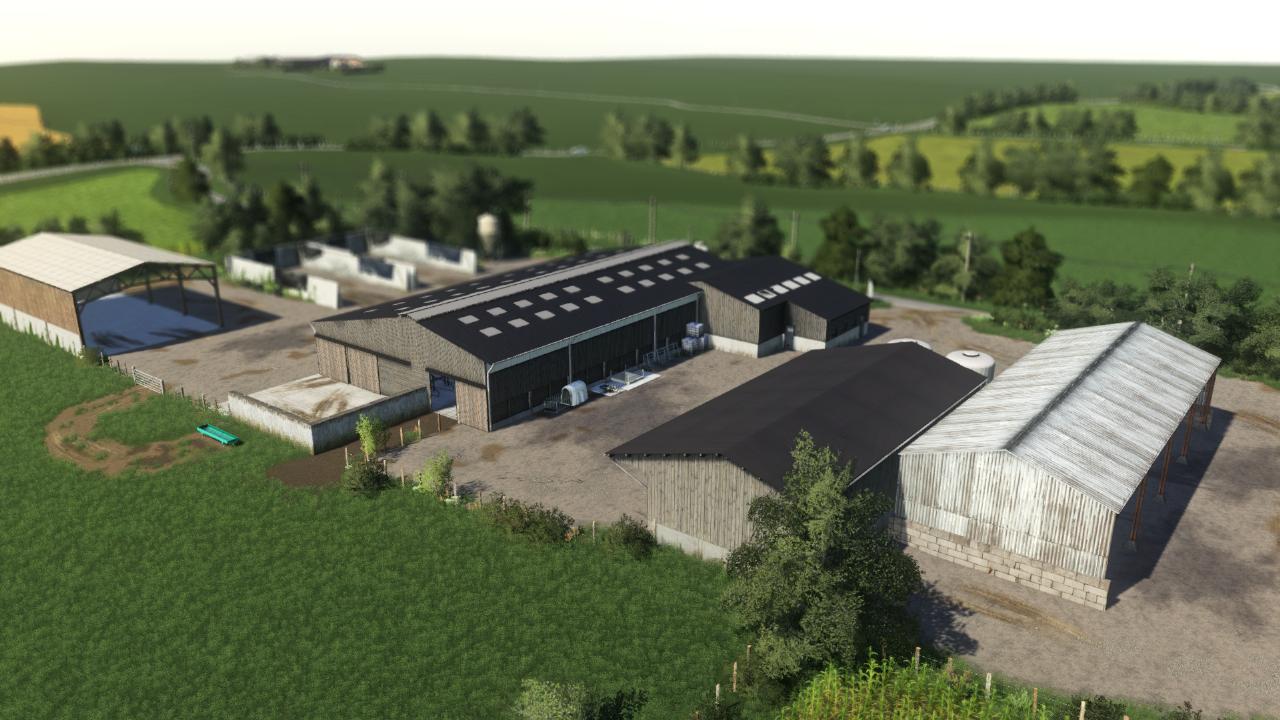 The cow farm