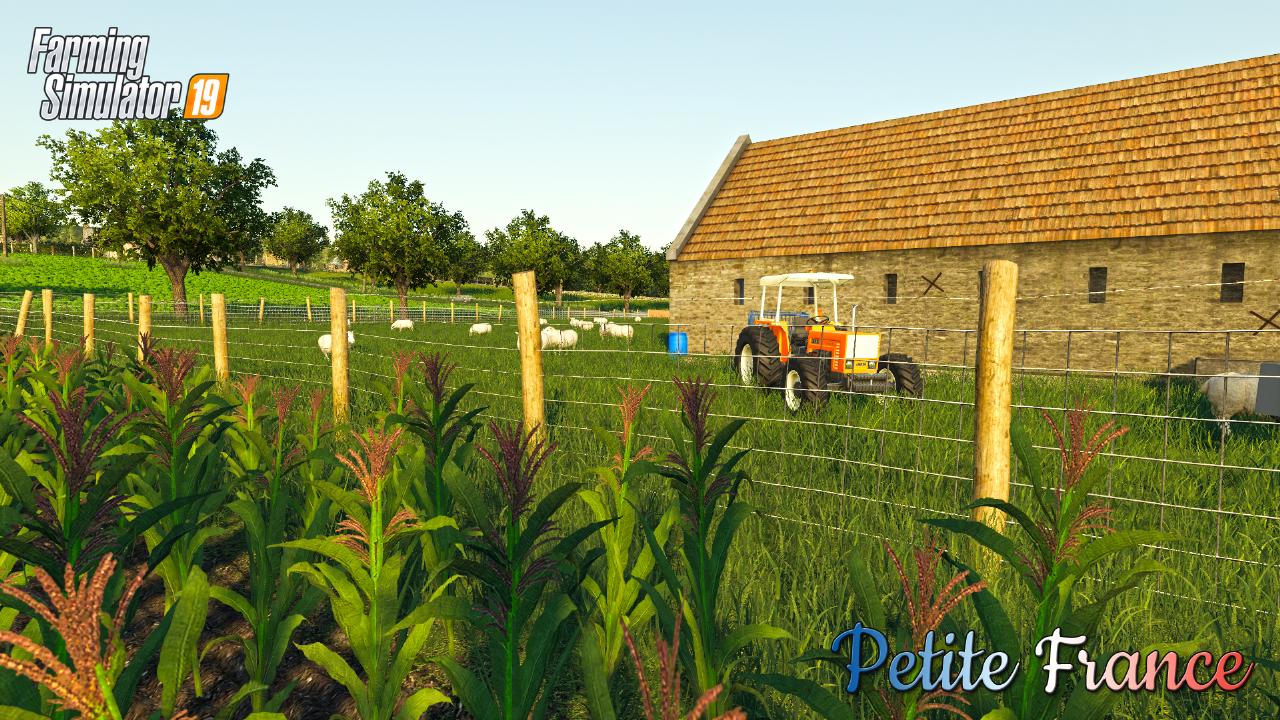 Animals, BGA, cooperative n°2 and livestock trader