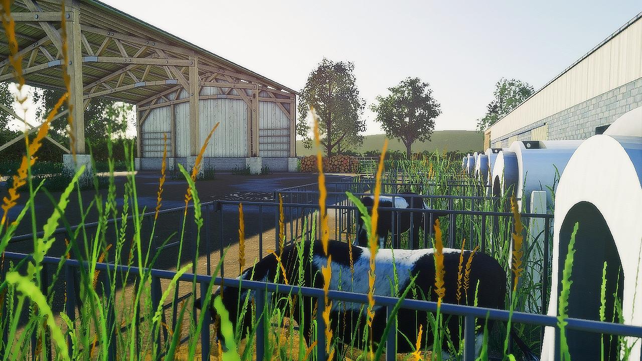 Field additions - Farmland - Functional cow