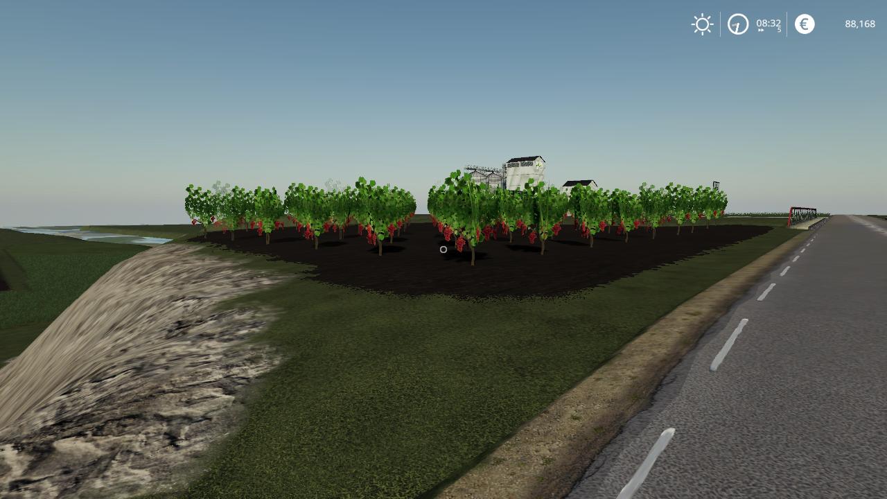 Hedge and vine