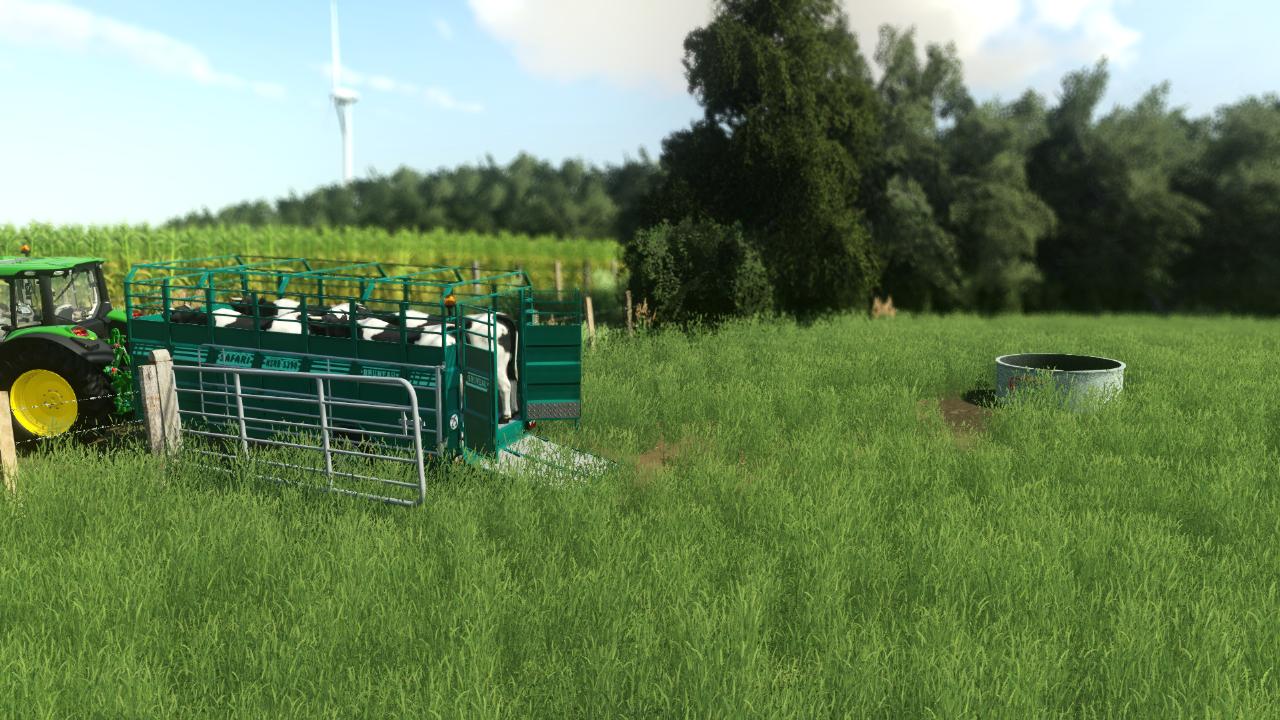 The cow farm