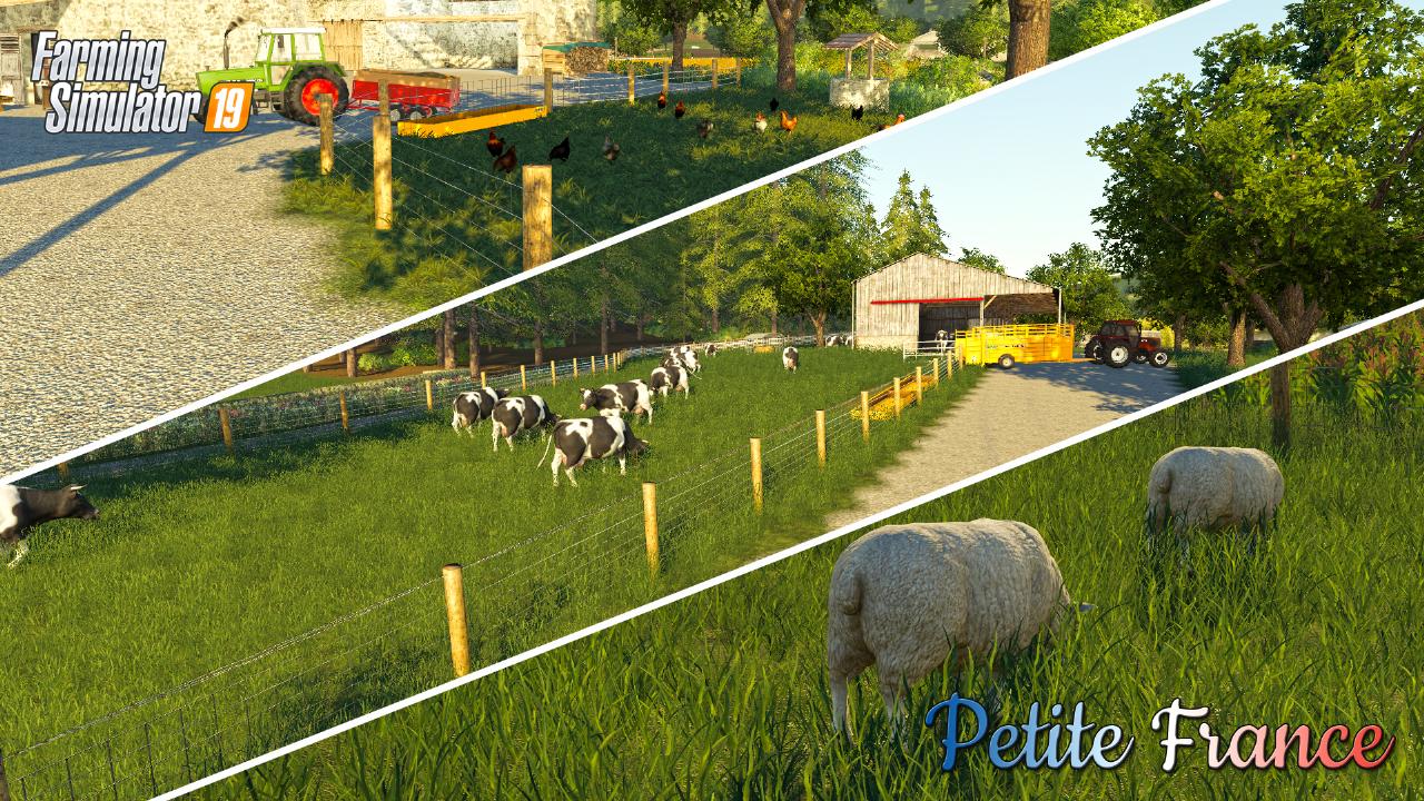 Animals, BGA, cooperative n°2 and livestock trader