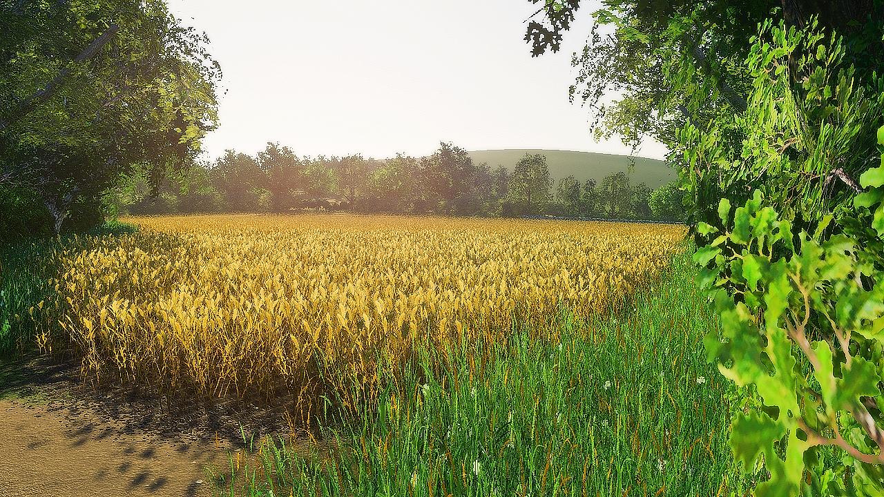 Field additions - Farmland - Functional cow