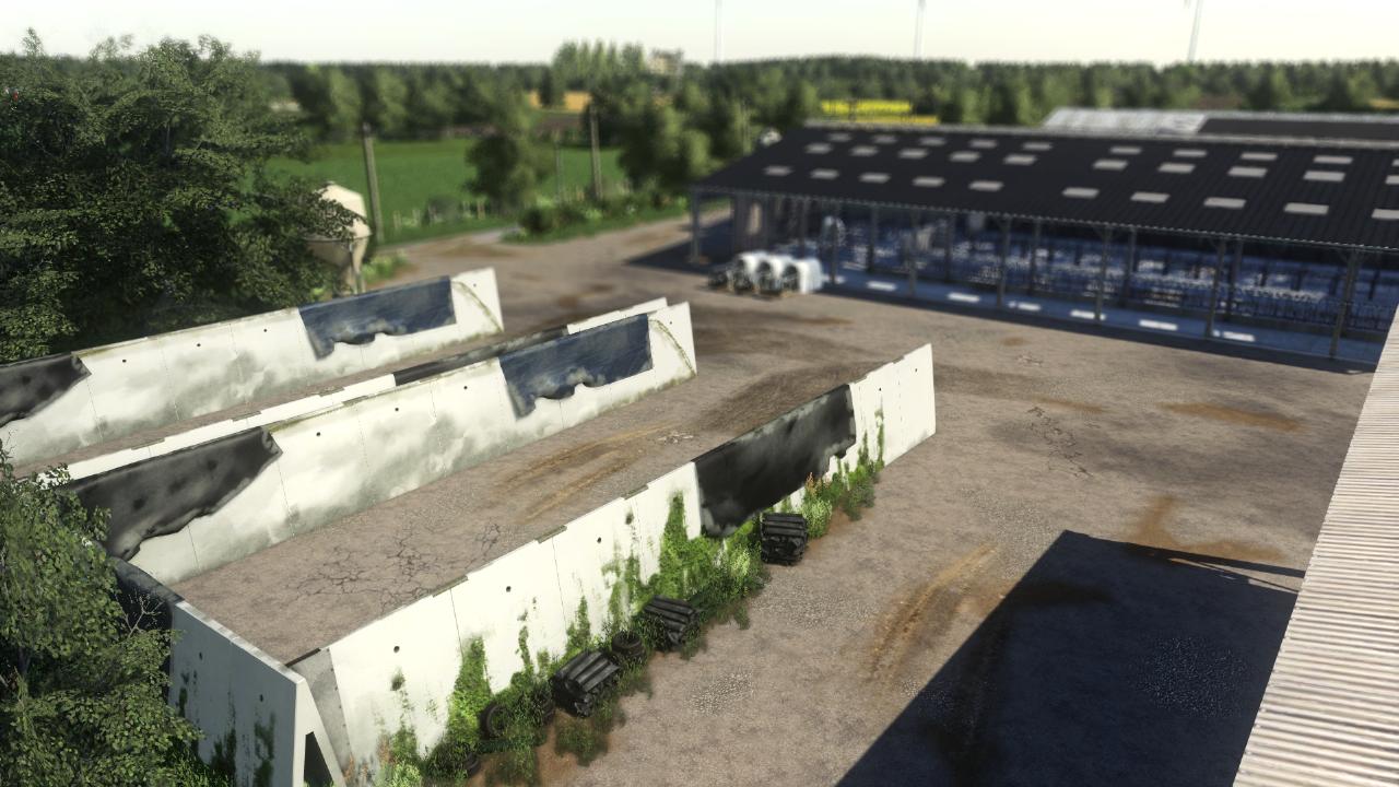 The cow farm