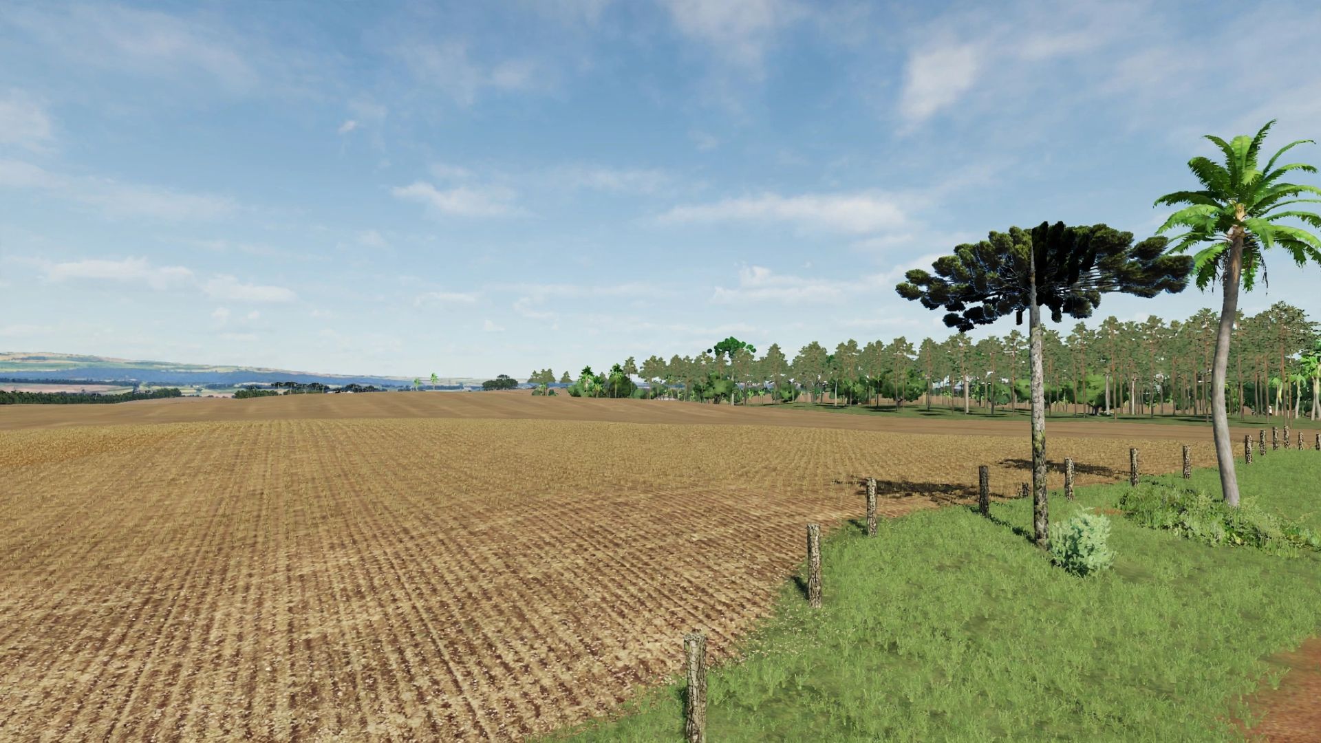 Fazenda das Palmeiras