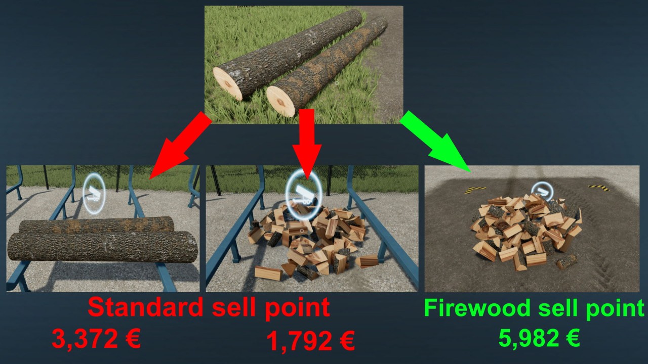 Processeur de bois de chauffage et point de vente