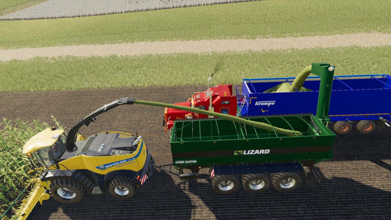 Lizard Auger Master