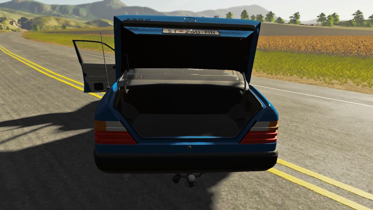 Mercedes Benz W124 250D