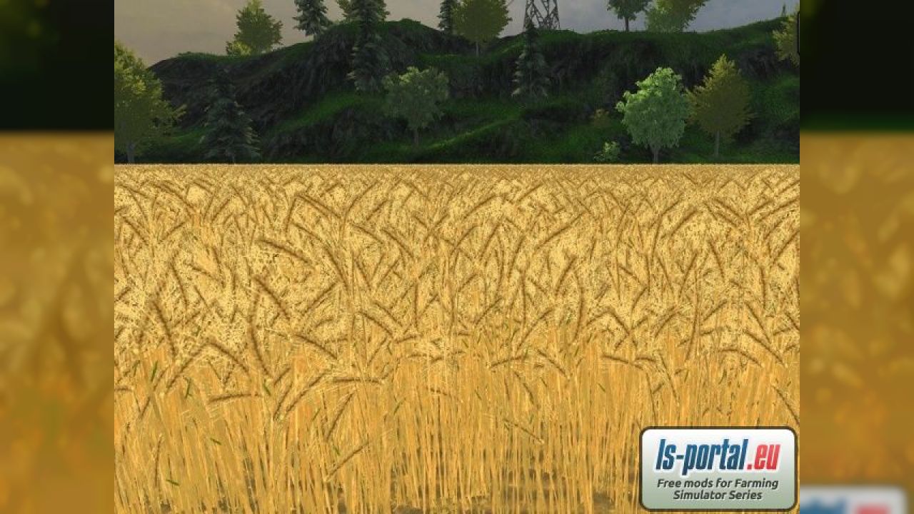 Barley texture