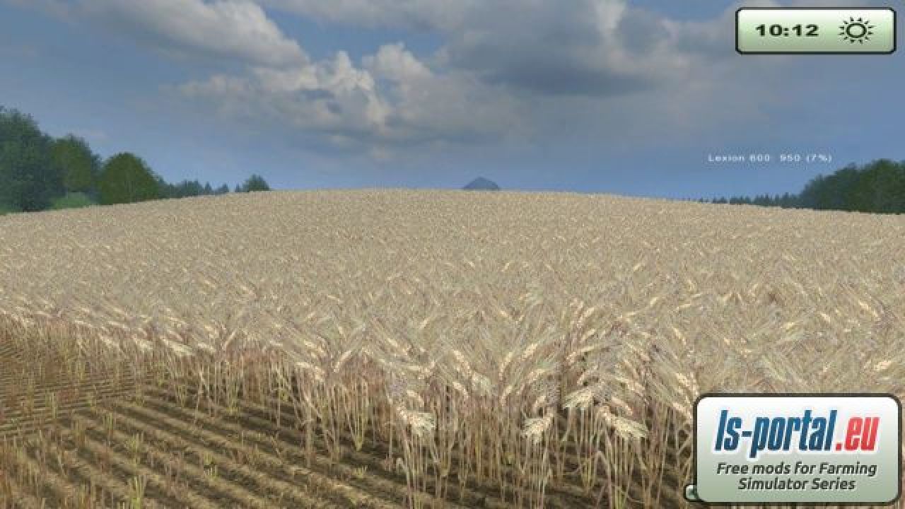 Barley texture