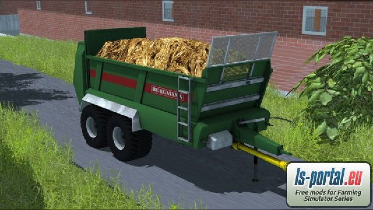 Bergmann TSW 4190