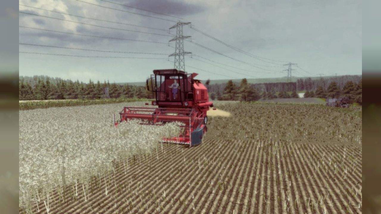 Bizon Rekord Z058
