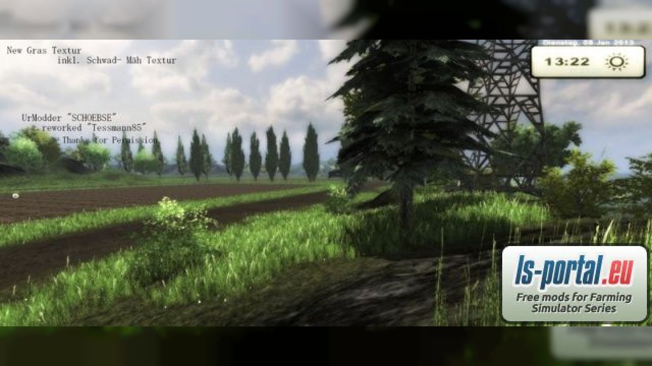 Grass Texture