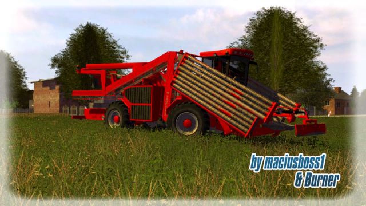 Holmer Terra Felis