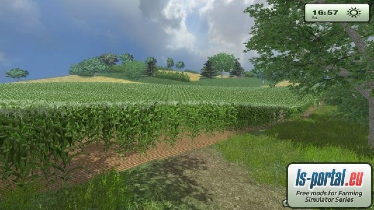 Maize texture