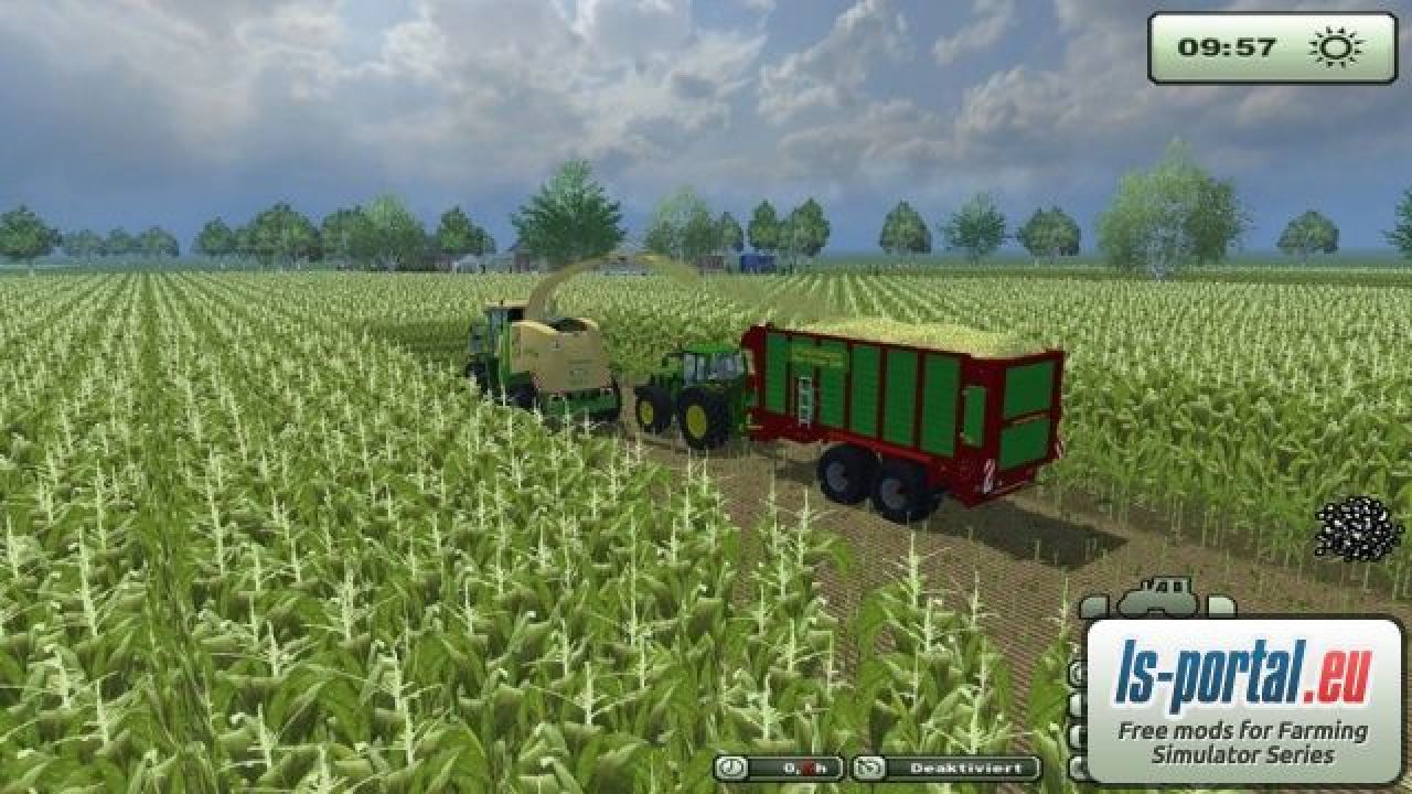 Maize texture