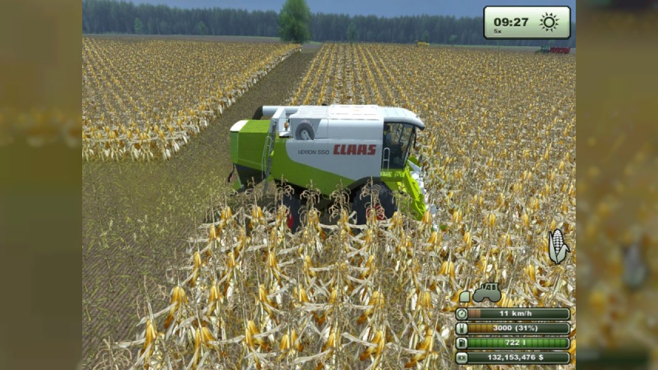 Maize texture