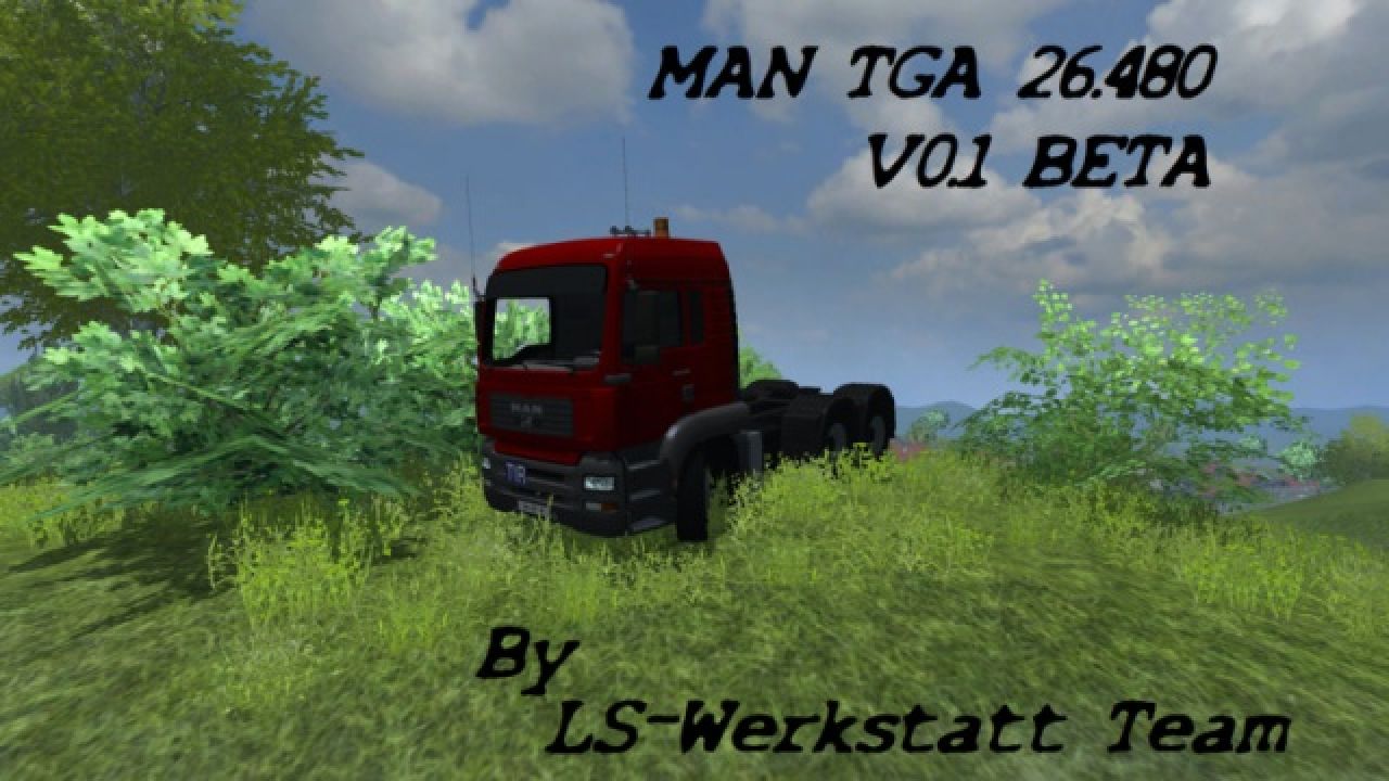 Man TGA 26.480