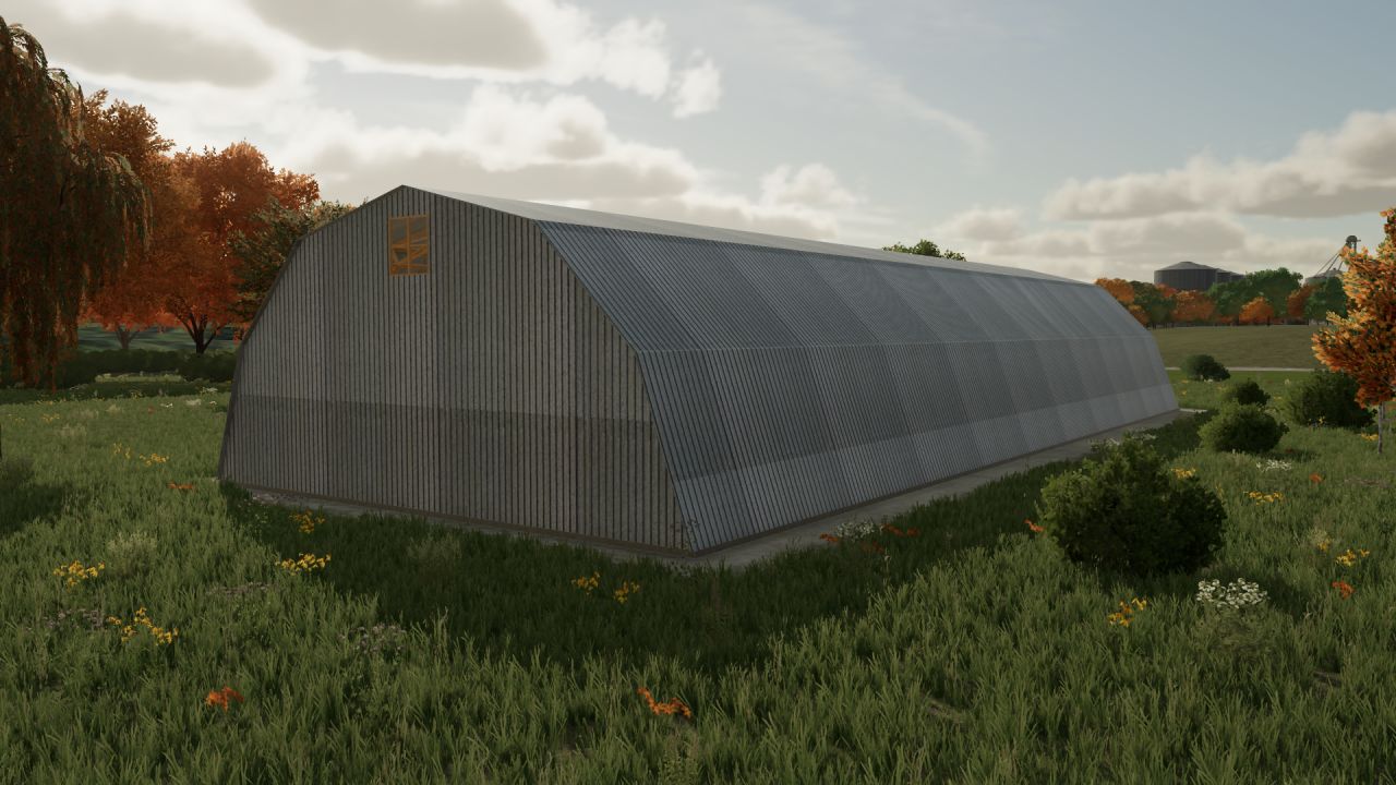 100x40 Shed