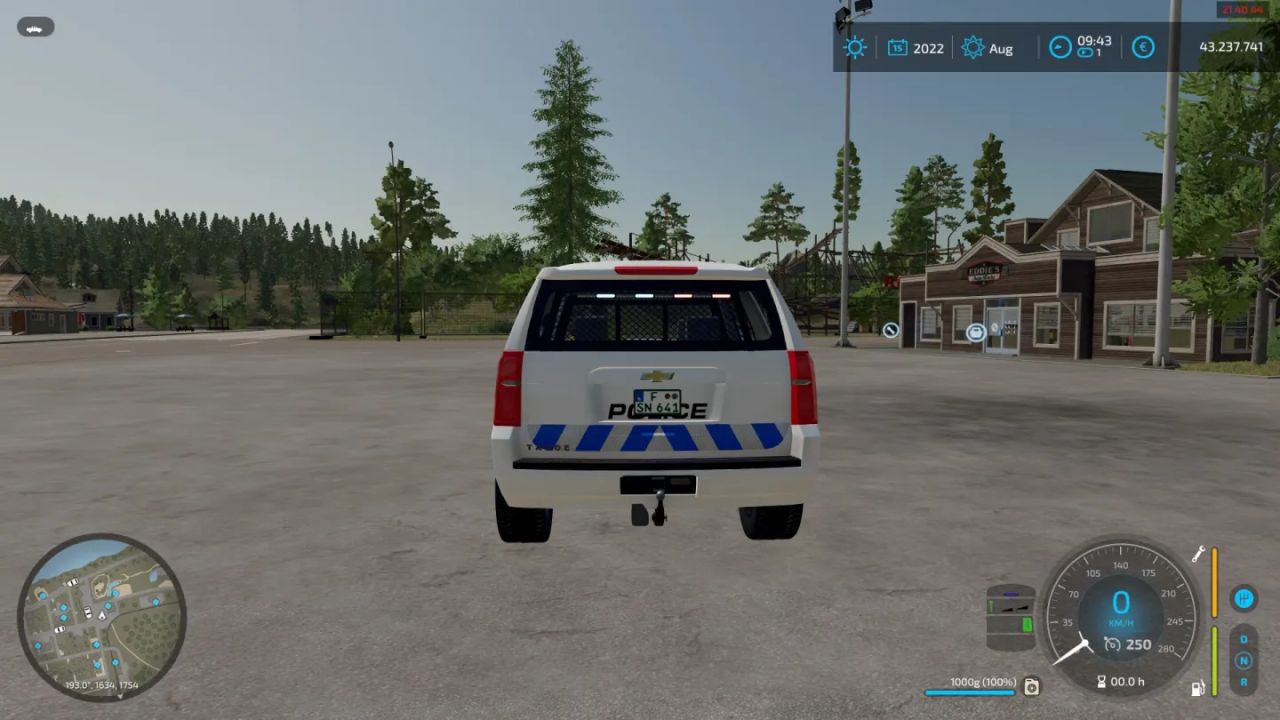 Airport Police Skin