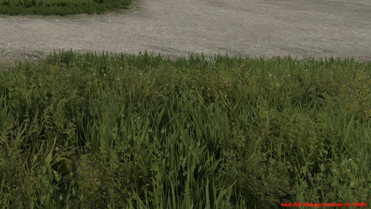 Anti-AFK