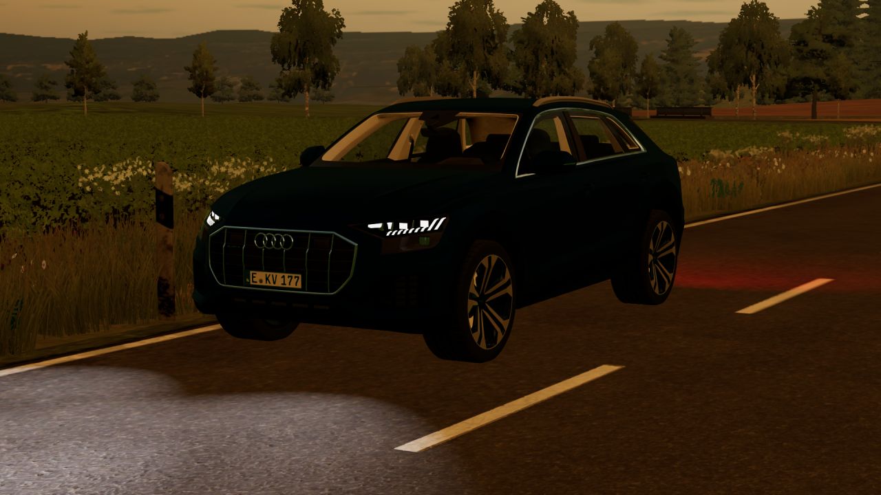 Audi Q8 2019