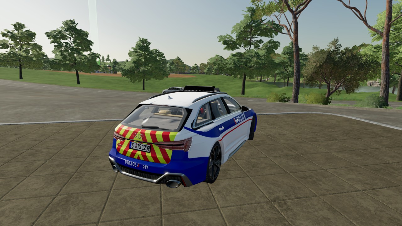Audi RS6 Polizei