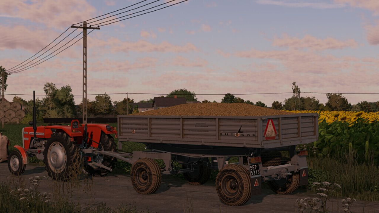 AutoSan D47