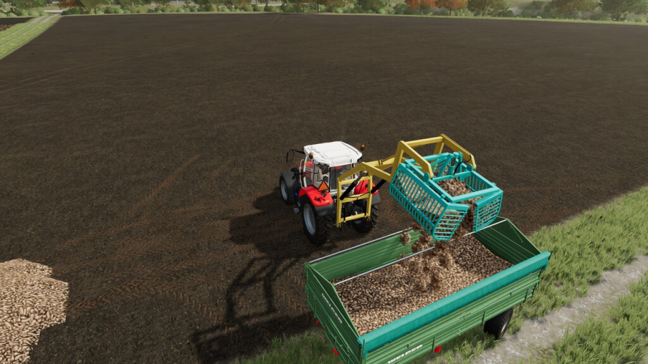 Back Grabber Loader