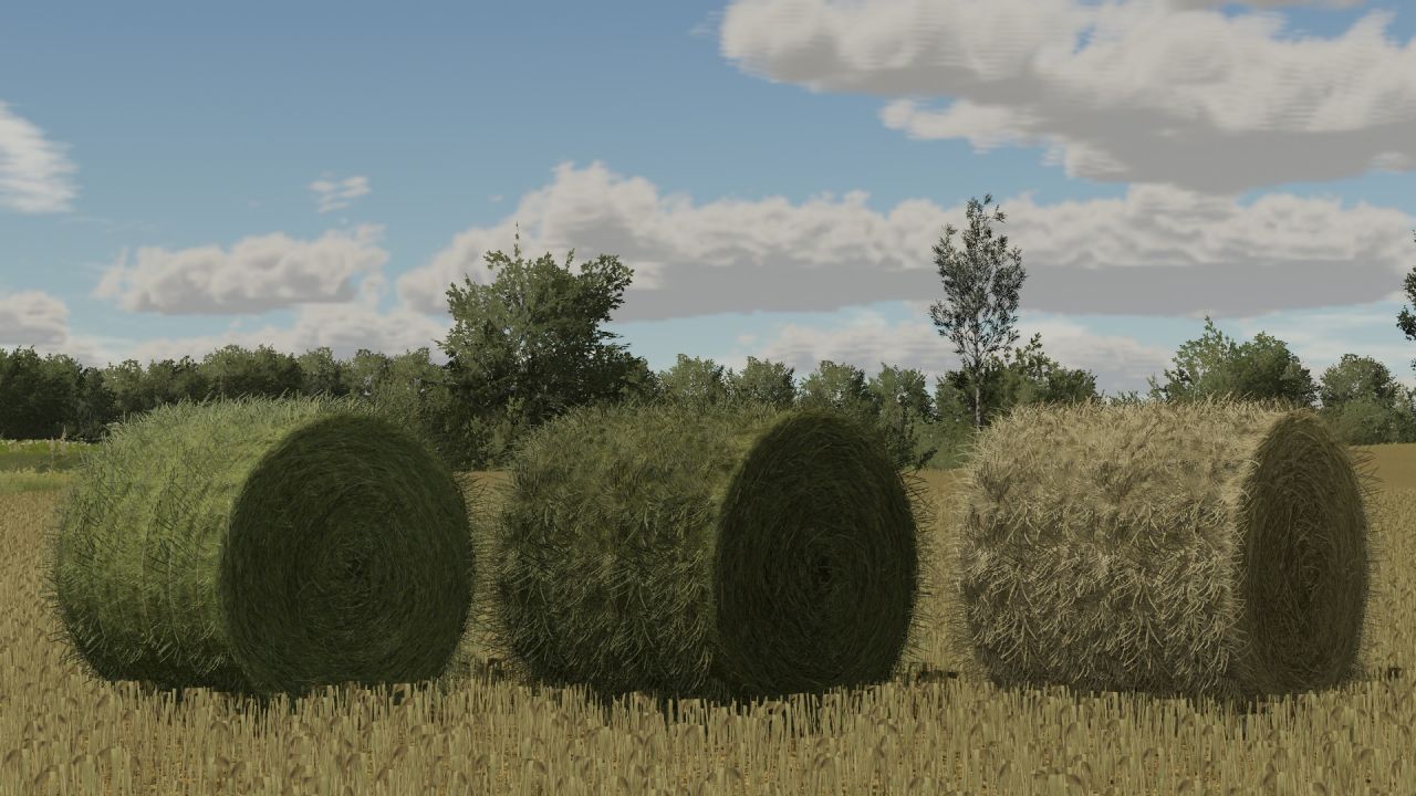 Texture de la balle